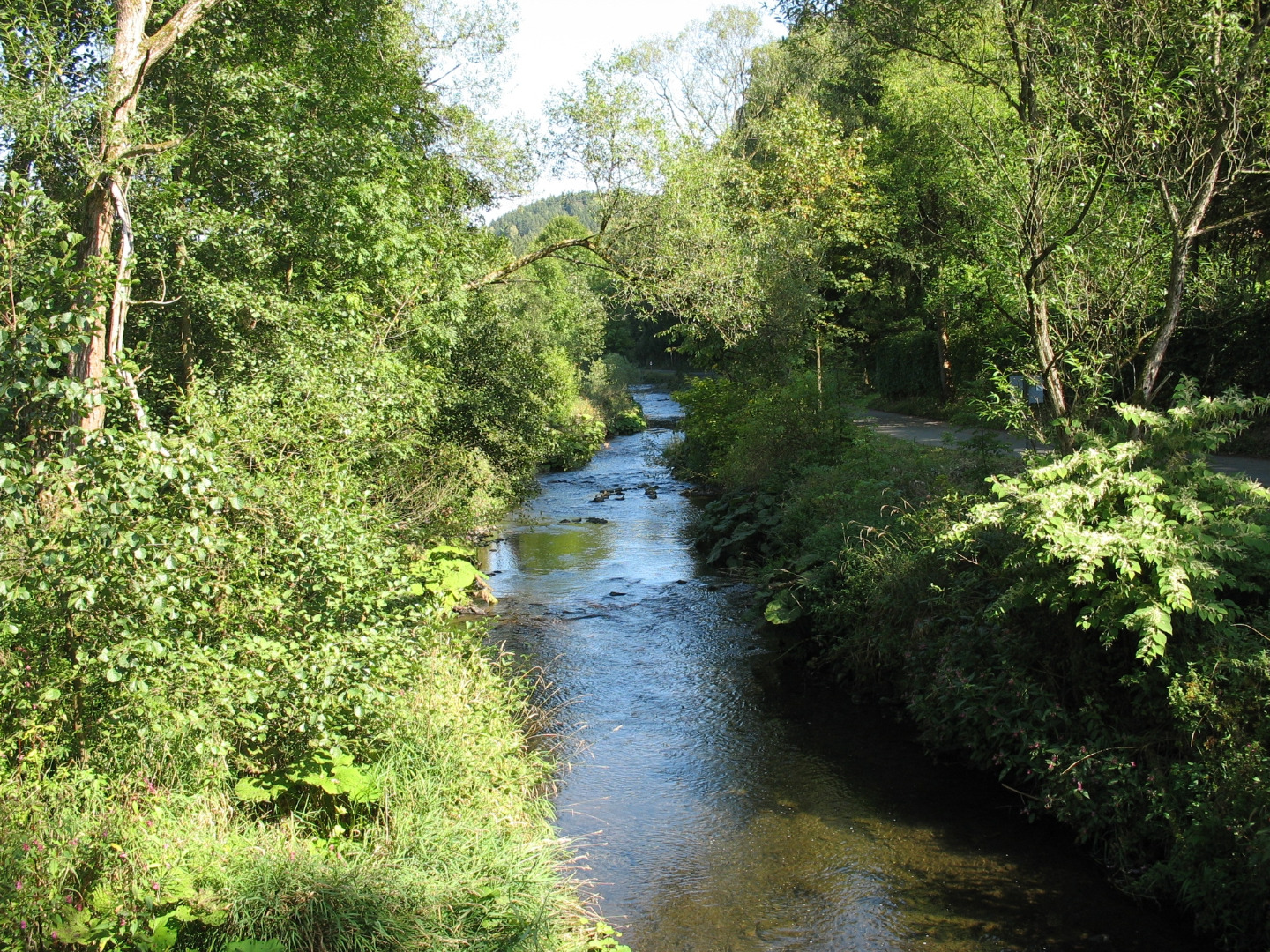 Blick von der Brücke