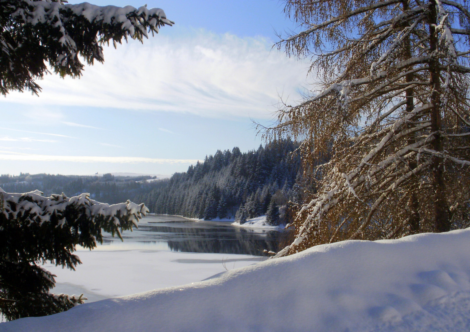 Eingebettet in Schnee