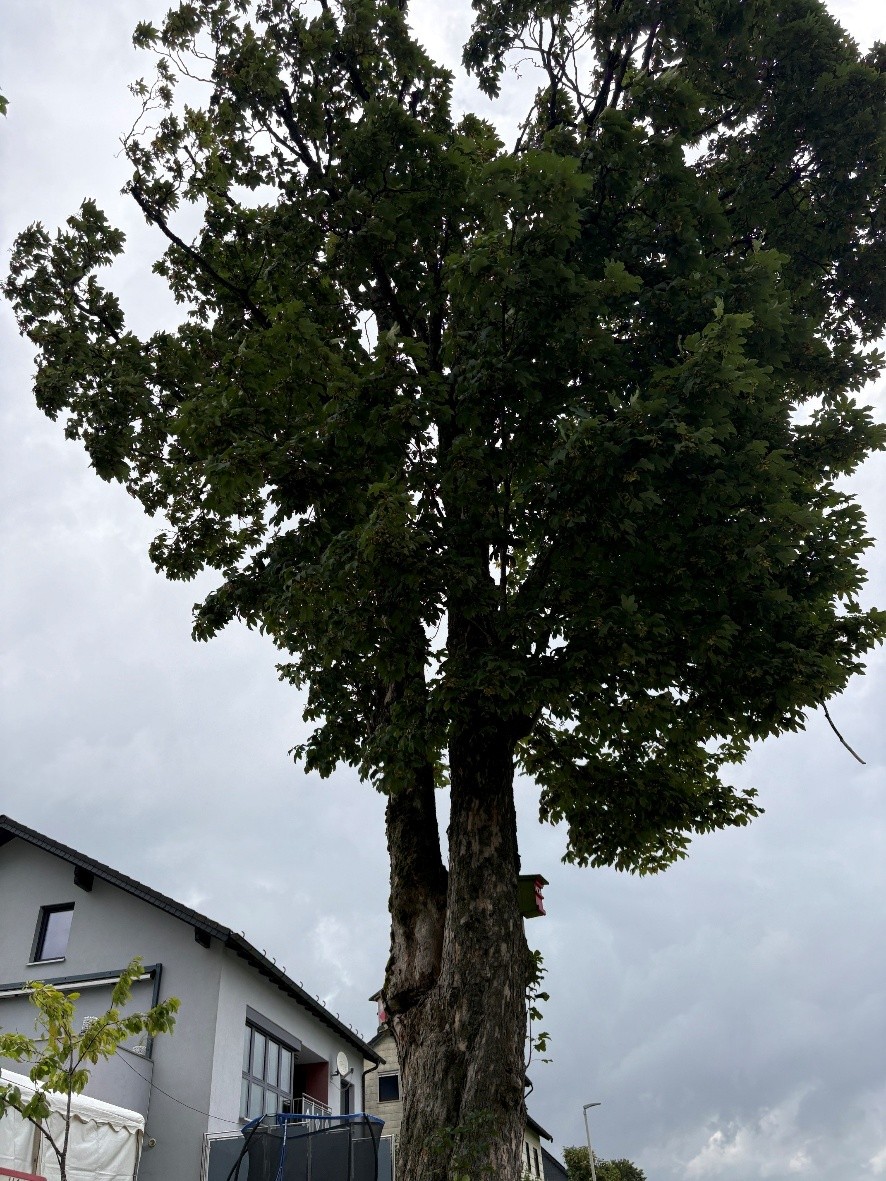 Leider haben wir keinen Alternativtext zu diesem Bild, aber wir arbeiten daran.