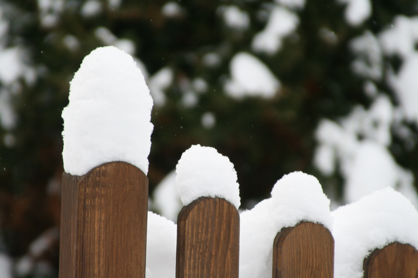 Schneetürme auf dem Gartenzaun