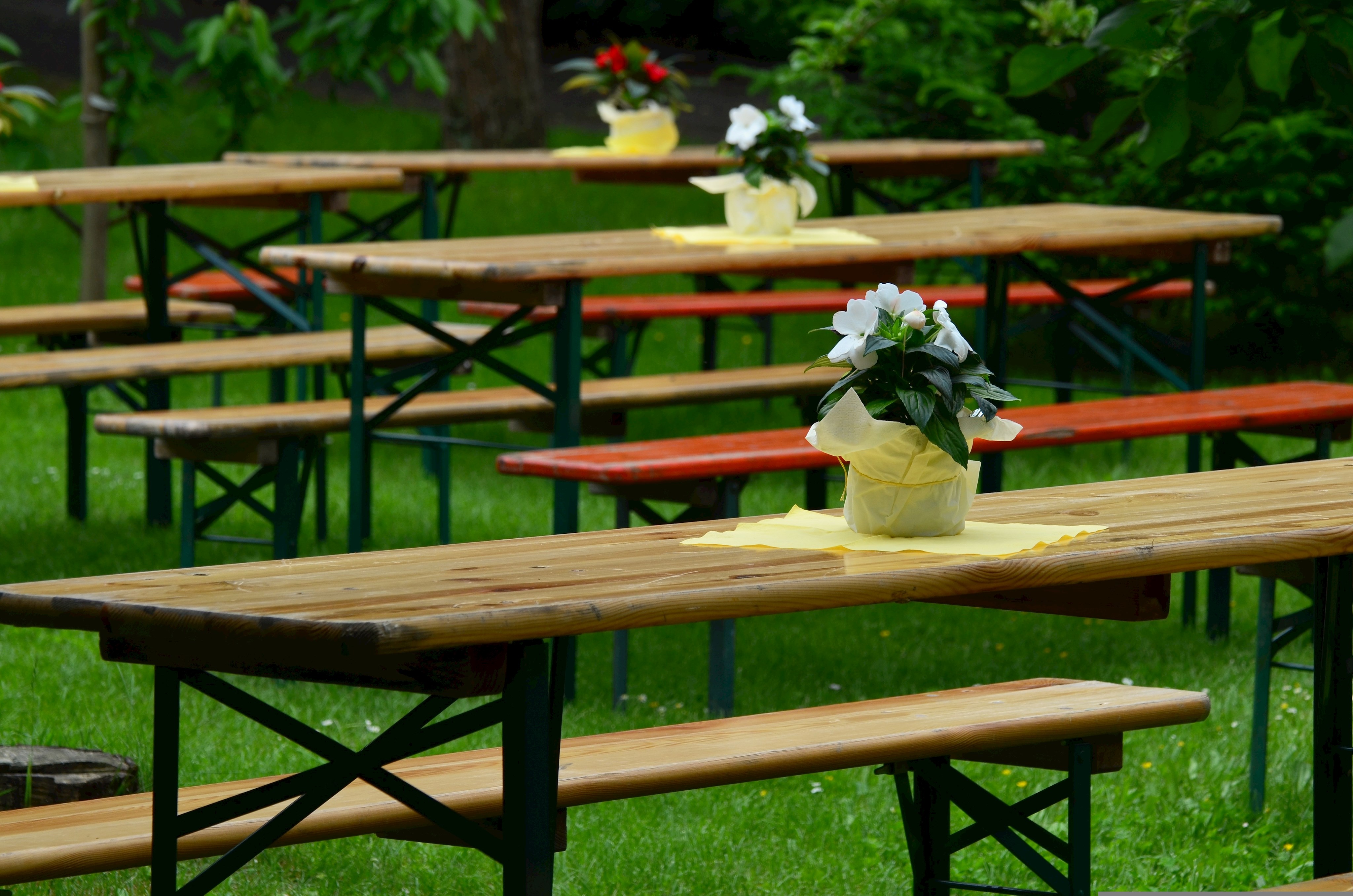 Symbolbild Sommerfest