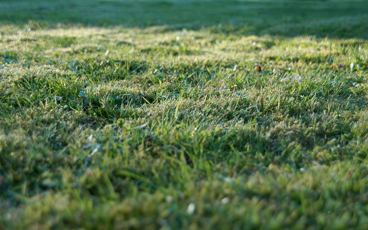 Grundstück (Foto: Pixabay)