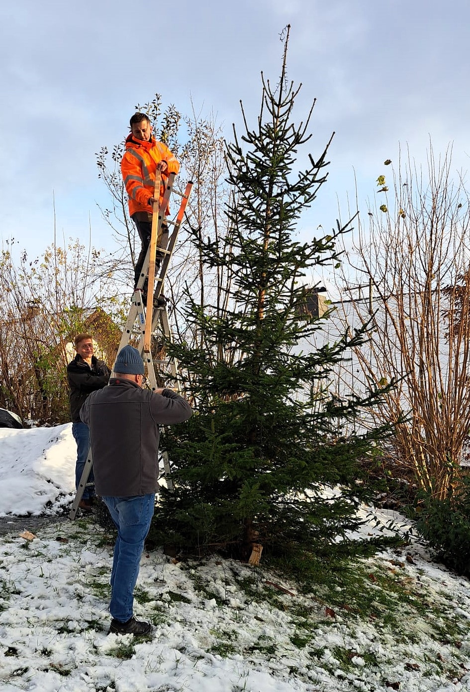 Mit vereinten Kräften wurde der Baum aufgestellt und mit den Lichterketten geschmückt. (Foto: privat)