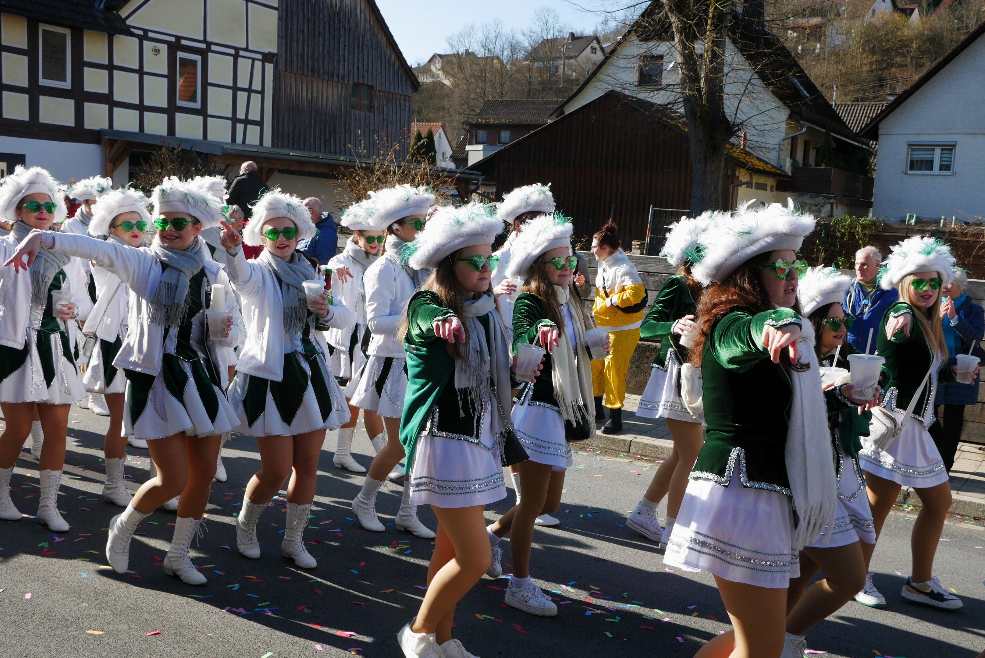 Impressionen vom Umzug (11)