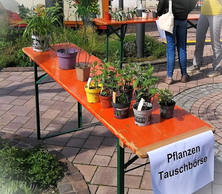 Bild: Pflanzen Tausch-Börse/Symbolbild