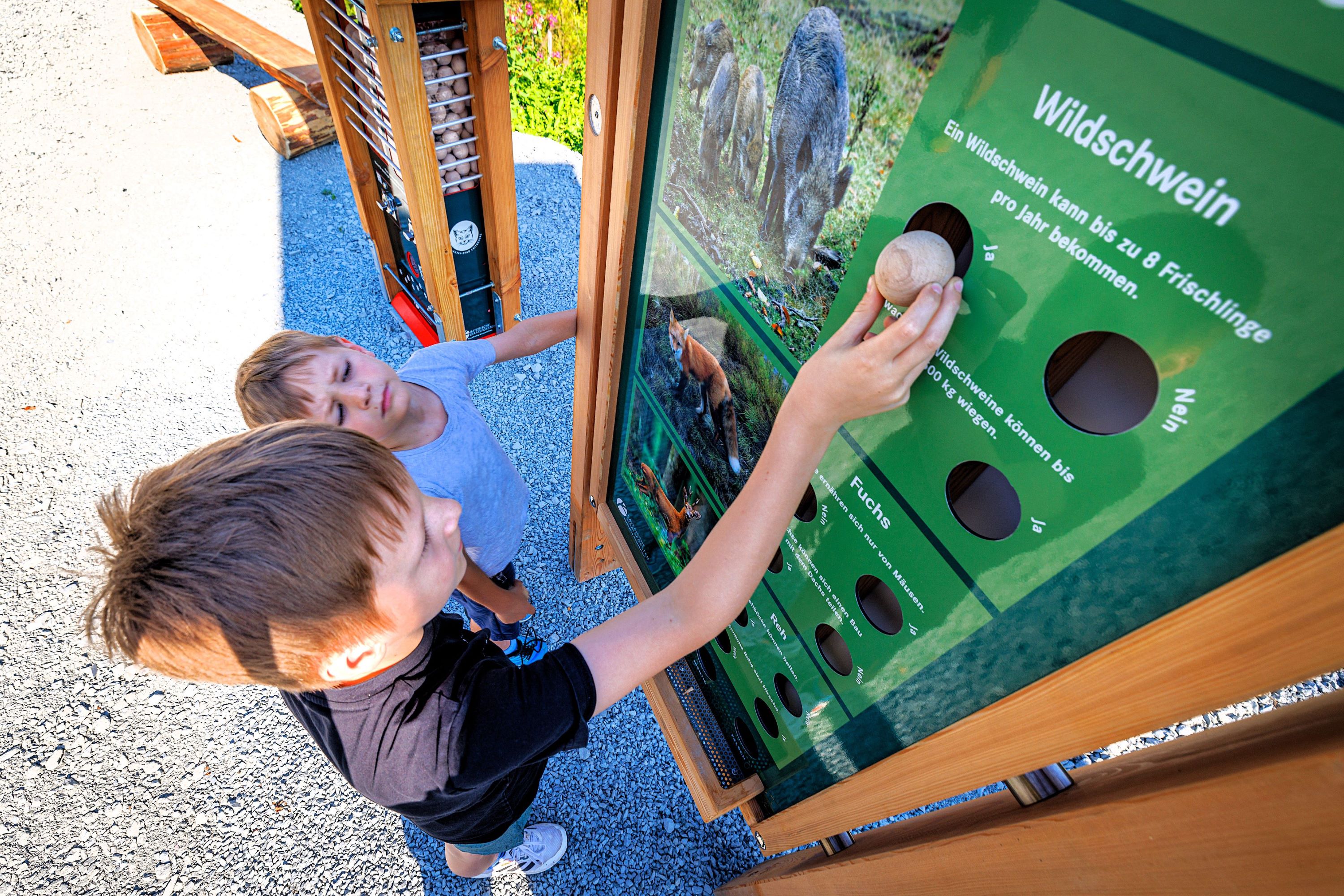 Bei den einzelnen Stationen kommen die „Wilma-Kugeln“ zum Einsatz (Foto: Tourismusverband Oberes Rodachtal)