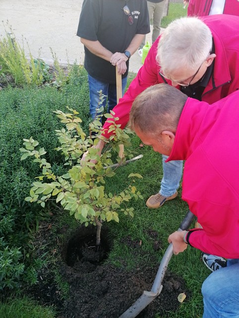 Der Elferrat Steinwiesen bei der Baum - pflanz - Challenge. Fotos: Elferrat Steinwiesen