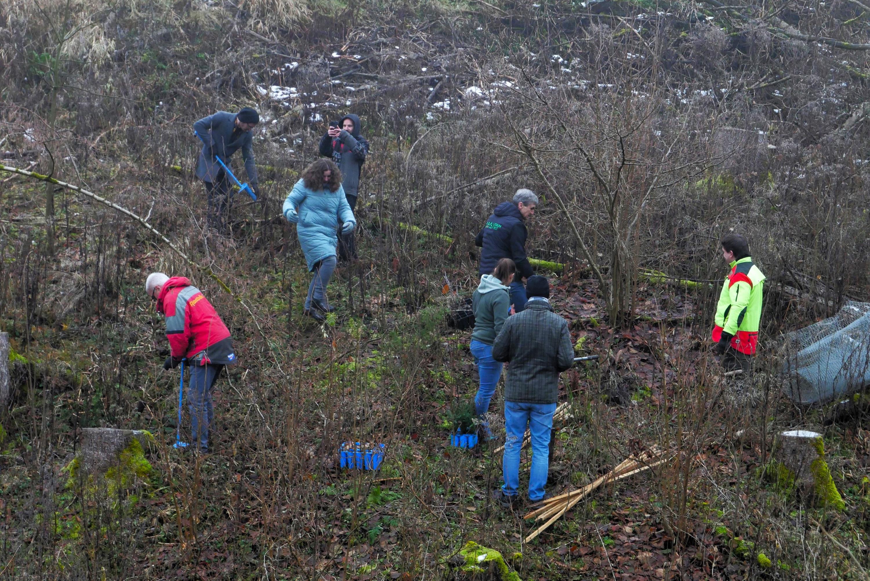 Leider haben wir keinen Alternativtext zu diesem Bild, aber wir arbeiten daran.